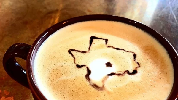Latte art with the state of Texas carved out